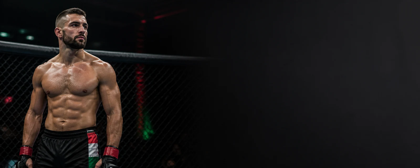 Dvaja zápasníci MMA pred súbojom